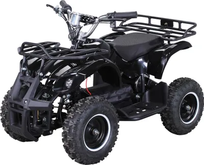 Produktbild von Actionbikes Motors Elektro Kinderquad Torino | 1000 Watt - 36 V - Pocket Quad bis 25 km/h - 3 Stufen - Kinder Elektroquad (Schwarz)