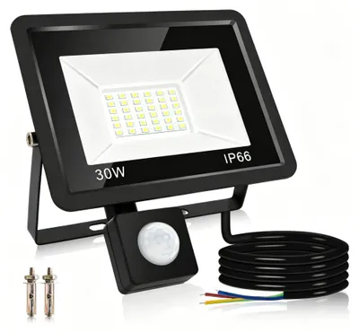 LED-Außenstrahler 30 W mit Bewegungsmelder, 2700 lm, IP66