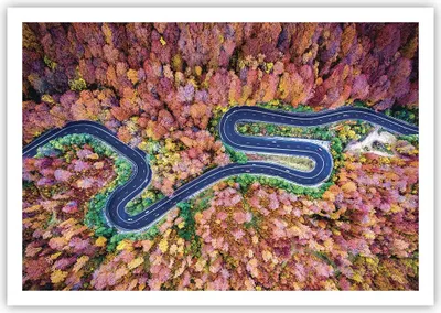 Produktbild von Poster - Poster ohne Rahmen - Kurvenreich Weg Wald - 100x70 cm - Wand Bild - Wanddeko - Wandbilder - Kunstposter - Wandposter - Bilder - Kunstdruck - Wanddekoration - Wandbild - P2XAA100x70-4291