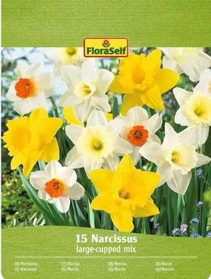 Obrázek produktu pro Narcisy mix FloraSelf 10/12 15 ks