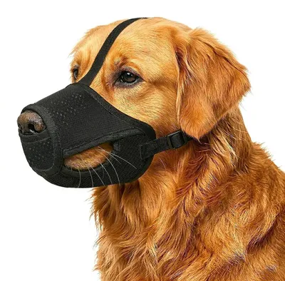 Immagine prodotto di Cesto per cani, in rete, regolabile, traspirante, colore nero, taglia L