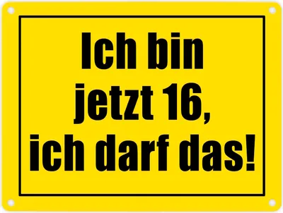Produktbild von Warnschild Metallschild in 15x20 cm mit Spruch Ich bin jetzt 16 ich darf das