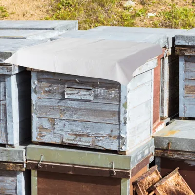 Produktbild von Bienenstockabdeckungstuch,Bienenstockisolierungstuch,Imkereiabdeckungstuch,Bienenstockabdeckungstuch,Imkereibedarf,Imkereizubehör