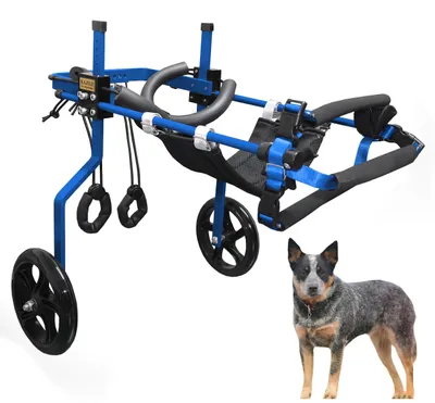 Imagen del producto de Silla de ruedas ajustable para perros, diseñada para las patas traseras