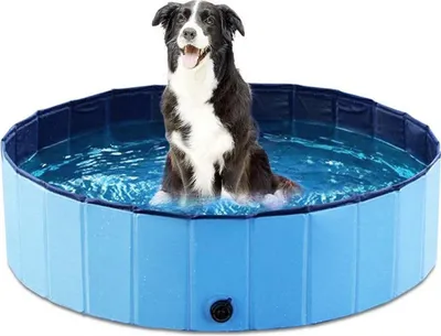 Produktbild von 100 cm große, faltbare und tragbare Haustierbadewanne mit Wasserspielfunktion