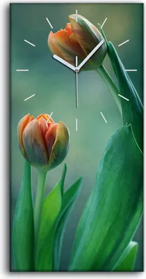 Produktbild von Wandkunst Leinwand Bild Uhr Geräuschlos 30x60 Gemälde Blumen Pflanzen Tulpen - weiße Hände