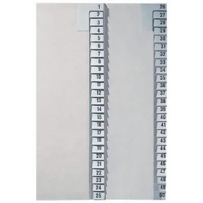 Produktbild von Leitz 1382-00-85 1382 Registerserie - 26-50, Papier, A4 Überbreite, 25 Blatt, grau
