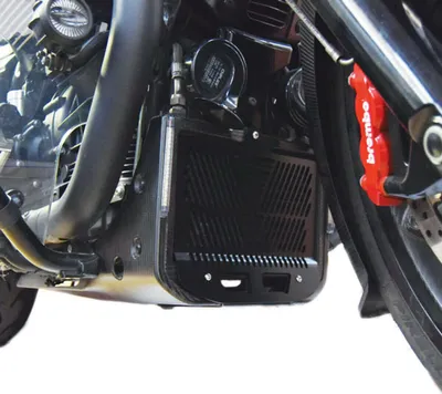 Immagine prodotto di Griglia protezione radiatore ISOTTA nero per MOTO GUZZI mgx 21