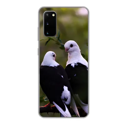 Produktbild von MuchoWow® Handyhülle Schutzhülle Hülle für Samsung Galaxy S20 Vögel - Zweig - Blätter Silikon Softcase Handy Hülle - Bild