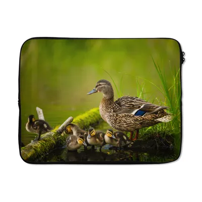 Produktbild von MuchoWow® Laptop Hülle 15 Zoll Ente - Vögel - Wasser - Zweig - Moos Laptoptasche - Laptoptasche - Sleeve - Rundum-Schutz