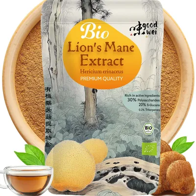 Obrázok produktu pre Lions Mane Hericium Erinaceus Extract - liečivá huba prášok 100 g