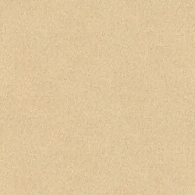 Produktbild von Premium-Tapete matt unifarben – Beige