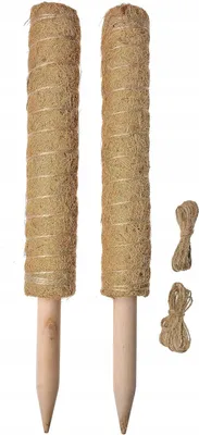 Zdjęcie produktu dla Podpórka do roślin kokosowa 40cm + sznurek jutowy 20m pnącza