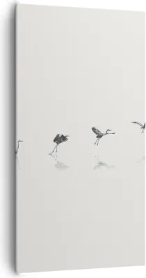 Produktbild von Bild auf Leinwand - Leinwandbild - Einteilig - Flug Vogel Reiher - 65x120cm - Wand Bild - Wanddeko - Wandbilder - Leinwanddruck - Bilder - Wanddekoration - Leinwand bilder - Wandbild - PA65x120-5096
