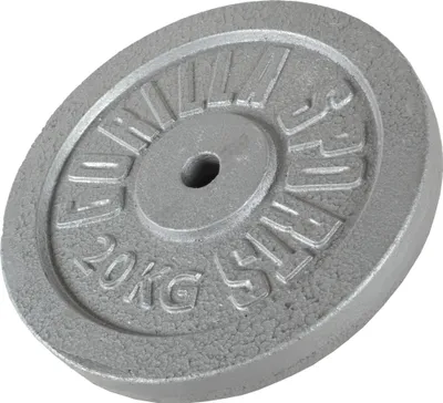 Produktbild von GORILLA SPORTS® Hantelscheiben - 20 kg Gewichte, 30/31 mm, Gusseisen, Silber - Gewichtsscheiben, Bumper Plates