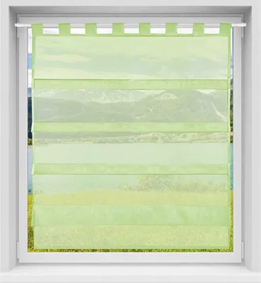 Produktbild von Gardine Raffoptik mit Schlaufe, Größe: 90x110cm, Farbe: Grün