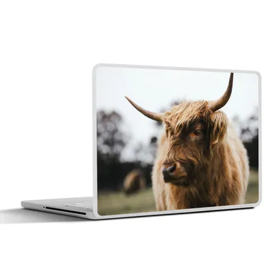 Produktbild von MuchoWow® Laptop Aufkleber Sticker Cover Schottischer Highlander - Tiere - Hörner 30x21 cm - Sticker für Laptop - Selbstklebend