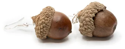Produktbild von Eichel Ohrringe Miniblings Ohrhänger Weihnachten Nuss Nüsse Xmas Eicheln braun