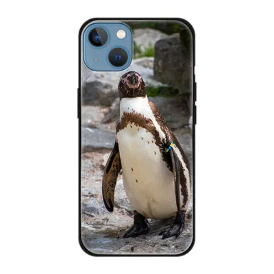 Produktbild von König Design Hülle kompatibel mit Apple iPhone 13 Kunststoff Soft Handyhülle - Handy Case Pinguin