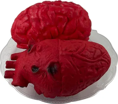 Obrázek produktu pro Halloweenská rekvizita ve tvaru srdce a mozku, inovativní, strašidelná, ručně vyrobená harmonika s vysokou mírou realističnosti pro večírky