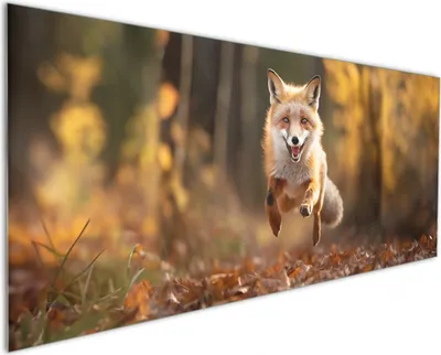 Produktbild von Wallario Küchenrückwand aus Glas, Größe: 125 x 50 cm, Motiv: Rennender Fuchs | Spritzschutz | abwischbar | pflegeleicht | in