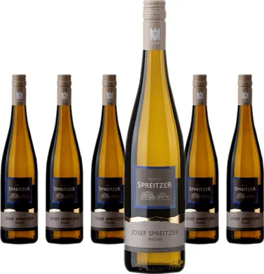 Produktbild von 6 x Josef Spreitzer Riesling ObA trocken