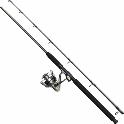 Produktbild von Dam Full Cat Spinn-kombo Silber 2.40 m / 40-150 g Silber 2.40 m