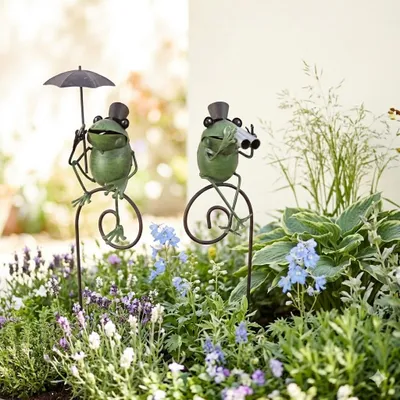 Immagine prodotto di L'osservatore curioso: paletta da giardino a forma di rana con binocolo