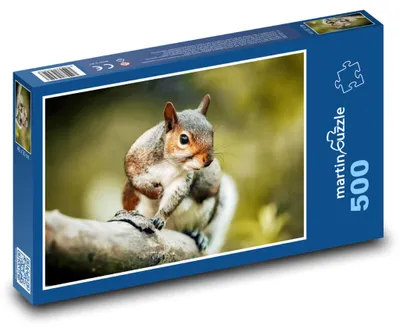 Obrázok produktu pre Puzzle 500 Veverička na strome - martinpuzzle
