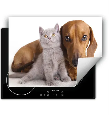 Produktbild von DarHaus Herdabdeckplatte 80x52 cm Anti Rutsch Matte Aufrollbar, Katze und Hund