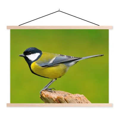 Produktbild von MuchoWow® Textilposter Vogel - Kohlmeise - Tiere - Grün 40x30 cm mit holzfarbenen Rahmen - Bilder