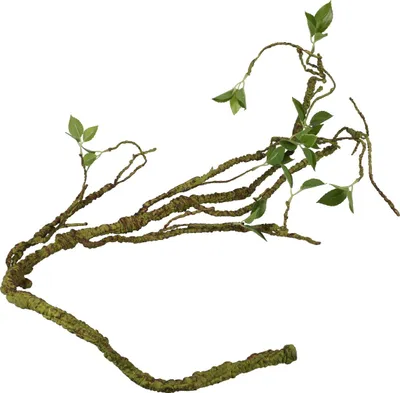 Produktbild von Terra Della Pflanzenzweig dick grün