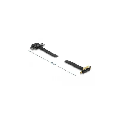 Image de Delock - Riser Card (88024)