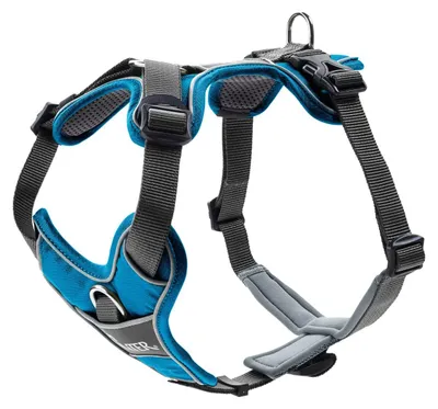 Image de Harnais Hunter Divo, couleur : bleu clair/gris, tailles : S