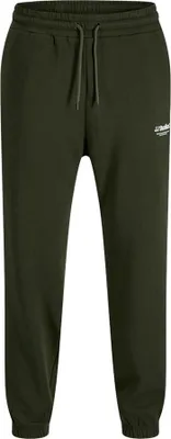 Produktbild von Jack & Jones Kane Soho Trainingshose Grün S Mann Grün S