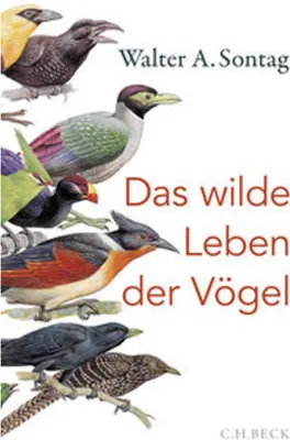 Immagine prodotto di Das wilde Leben der Vögel