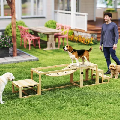 Image de Kit d'agilité pour chiens - Kit d'entraînement pour chiens - Jouet pour chiens - Obstacle d'agilité - Obstacle pour chiens
