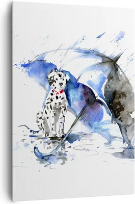 Produktbild von Bild auf Leinwand - Leinwandbild - Einteilig - Hund Regenschirm Regen Wetter - 70x100cm - Wand Bild - Wandbilder - Leinwanddruck - Wanddekoration - Leinwand bilder - Wandbild - PA70x100-3044