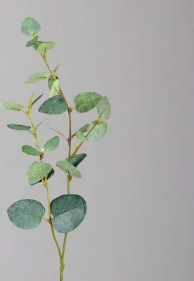 Produktbild von Kunstblume Eukalyptus 48 cm grün