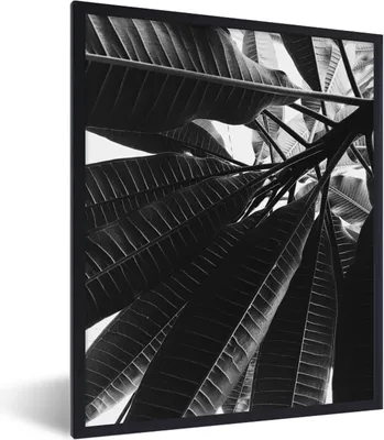 Produktbild von MuchoWow® Gerahmtes Poster Palmenblatt - Tropisch 60x80 cm - Poster mit Schwarzem Bilderrahmen Wandposter Rahmen Foto Bilder - Premium - Wanddeko Wohnzimmer