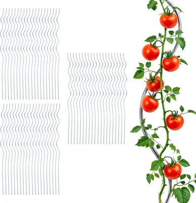 Image de 3.10 tuteurs spiralés pour tomates, set de 60 - 110 cm chacun - tuteur de jardin galvanisé (6x 10 pièces)