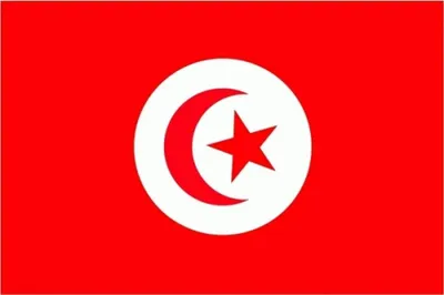 Image de Drapeau tunisien XXL 250 x 150 cm