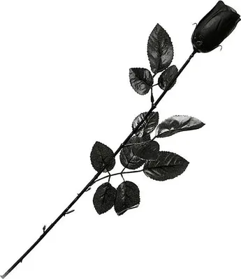 Immagine prodotto di Atosa Rosa Decorazione 53 Cm Argento Argento Taglia Unica