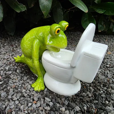 Produktbild von Gartenfigur Frosch Figur Spuckt ins Klo 11 cm