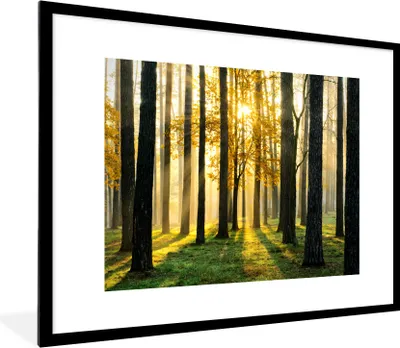 Produktbild von MuchoWow® Gerahmtes Poster Wald - Sonne - Bäume - Gras - Landschaft - Natur 80x60 cm - Poster mit Schwarzem Bilderrahmen Wandposter Rahmen Foto Bilder - Schlafzimmer-Dekorationen - Fotoposter