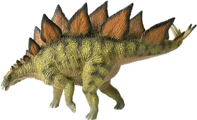Image de Stégosaure