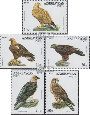 Produktbild von Briefmarken Aserbaidschan 1994 Mi 172-176 (kompl.Ausg.) postfrisch Greifvögel