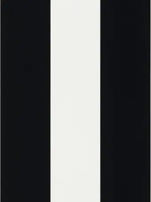 Produktbild von Rasch Tapeten Just me! Tapete 286694 Streifen weiß schwarz