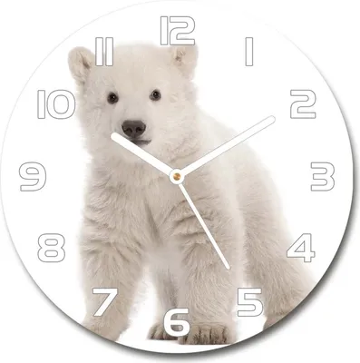 Produktbild von Wanduhr aus Glas 30fi Glasbild Glasuhr Gehärtetes Glas - weisse-zeiger - A polar bear