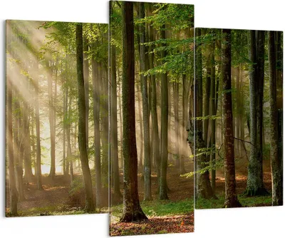 Produktbild von Bild auf Leinwand - Leinwandbild - Wald Baum Natur - 130x100cm - Wand Bild - Wanddeko - Wandbilder - Leinwanddruck - Bilder - Kunstdruck - Wanddekoration - Leinwand bilder - Wandkunst - CB130x100-3628